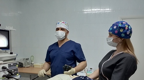 Ишимские врачи сохранили желчный пузырь пациентам с камнями и желтухой