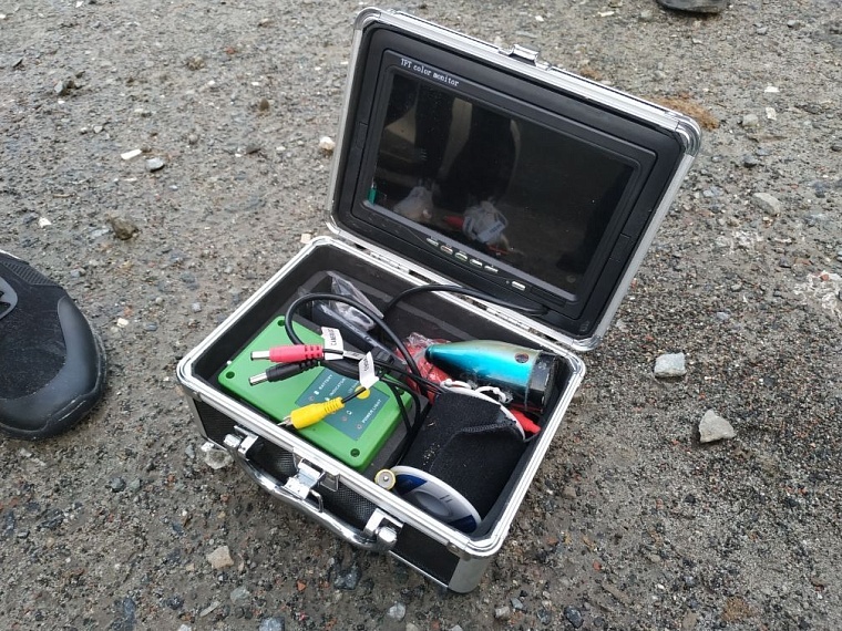 Мнение эксперта: поиски Насти Муравьевой могли быть более эффективны