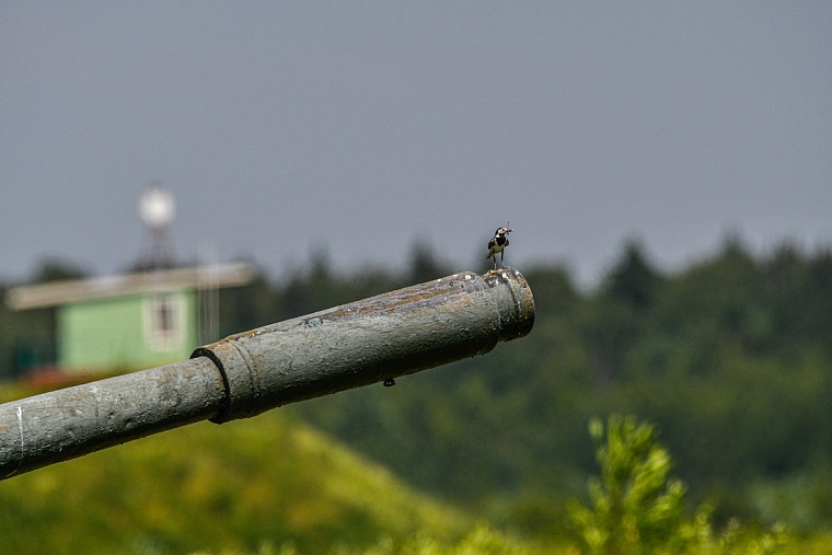 Пропавшего на СВО тюменца нашли через соцсети