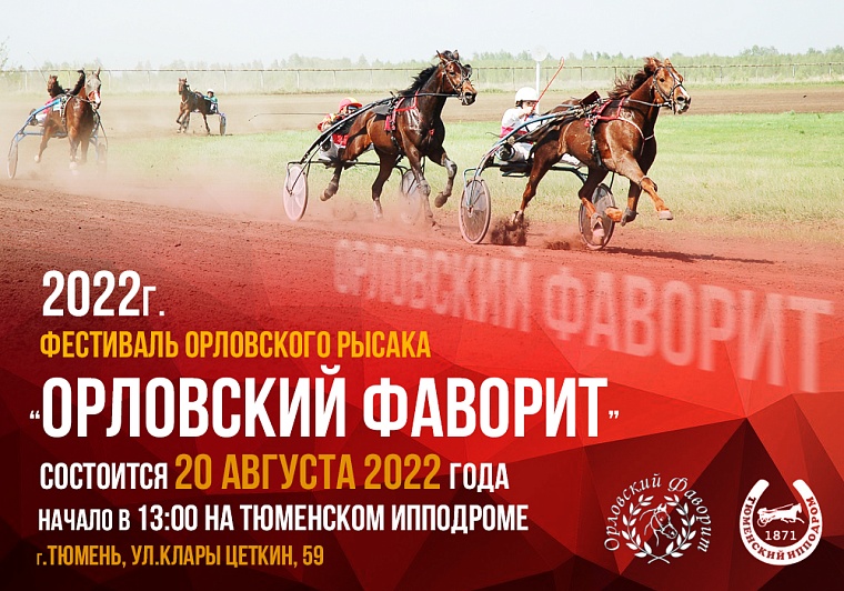 Впервые в Тюмени пройдет большой конно-спортивный фестиваль "Орловский фаворит"