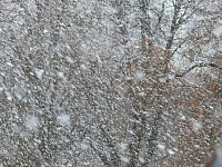 Мокрый снег с дождем идет в Тюменскую область