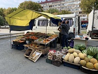 Почти тонну фруктов и овощей изъяли с незаконных уличных прилавков в Тюмени