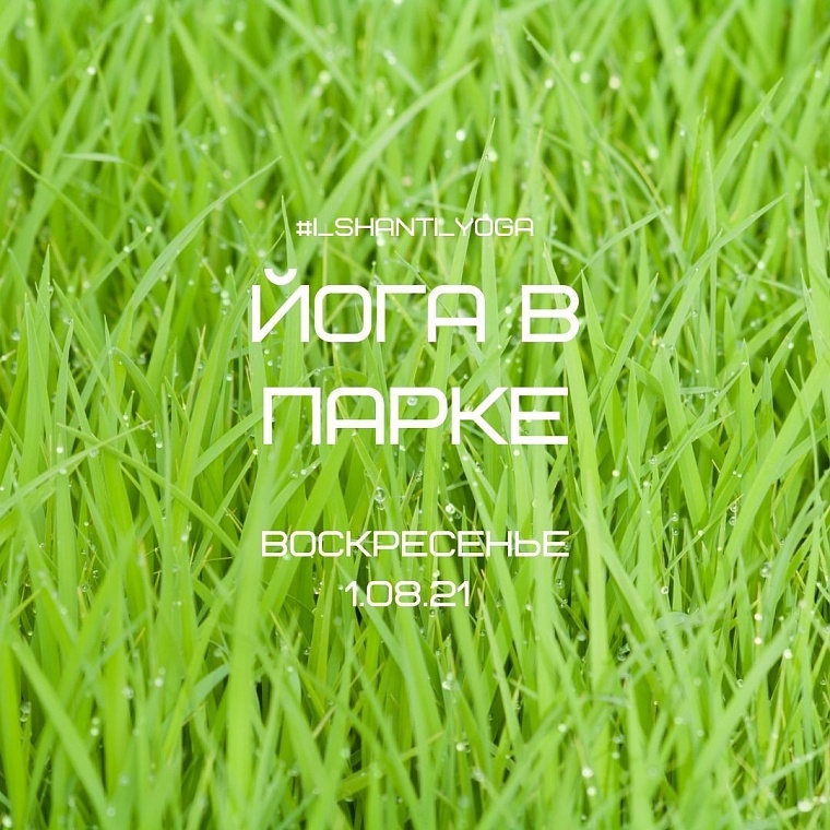 Афиша на уик-энд: День города онлайн, музейные затеи и модный показ