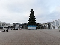 В Тюмени устанавливают новогоднюю ель на Цветном бульваре