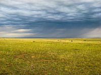 Тюменские ученые предложили создать сеть охраняемых природных территорий на границе с Казахстаном