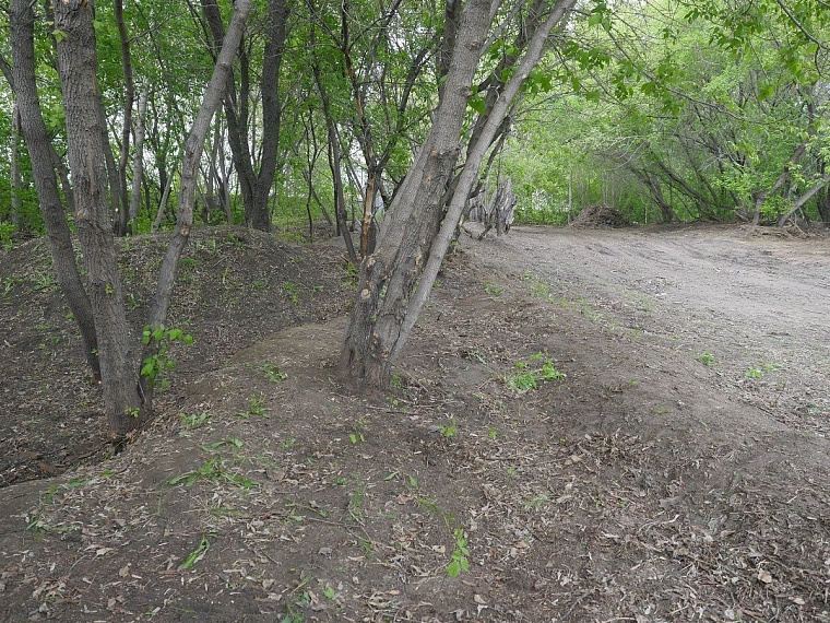 «Event park Алебашево»: в Тюмени создают площадку для культурного отдыха