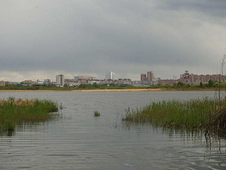 «Event park Алебашево»: в Тюмени создают площадку для культурного отдыха