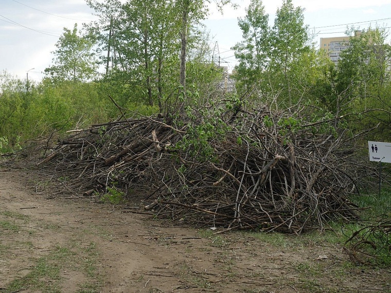 «Event park Алебашево»: в Тюмени создают площадку для культурного отдыха