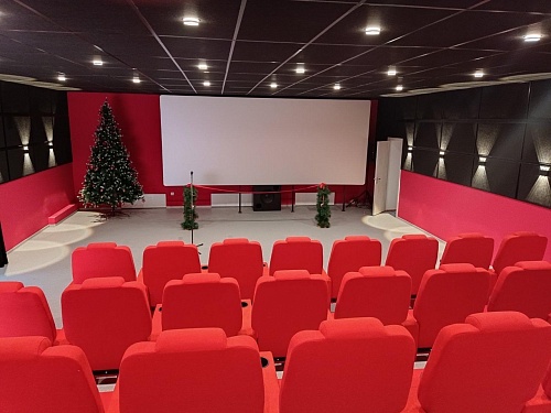 Тюменцев приглашают в библиотеку на просмотр фильма "Елки лохматые"