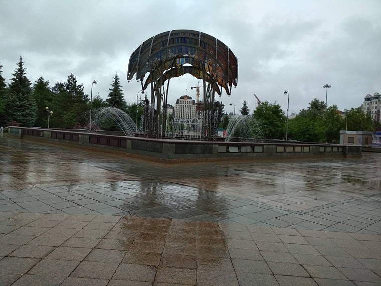 Жители Тюмени поддержали запрет лошадей на Цветном бульваре