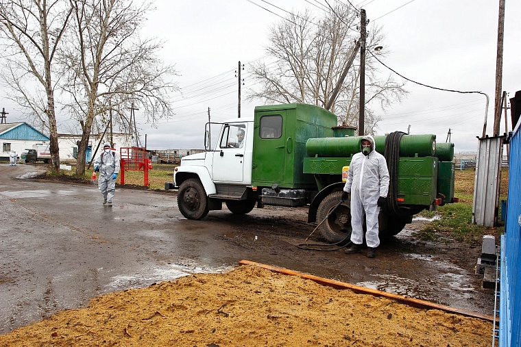 На случай ящура: в Тюменском районе провели карантинные учения