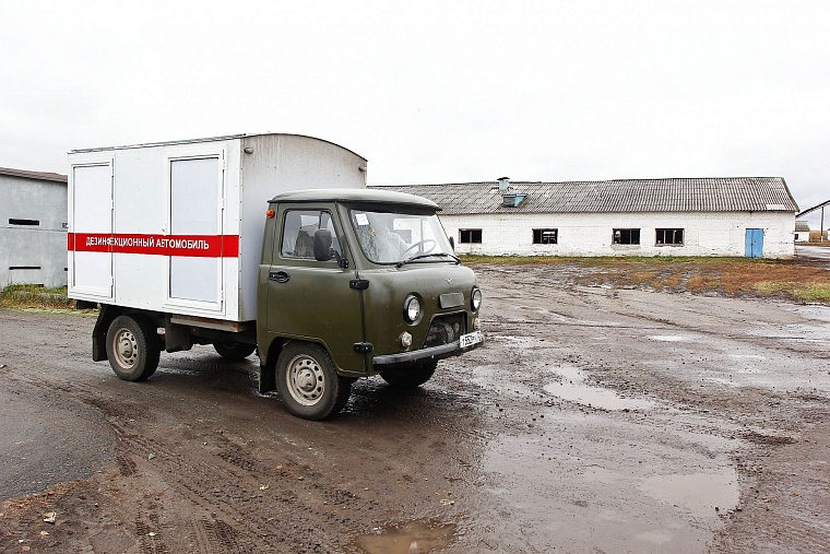 На случай ящура: в Тюменском районе провели карантинные учения