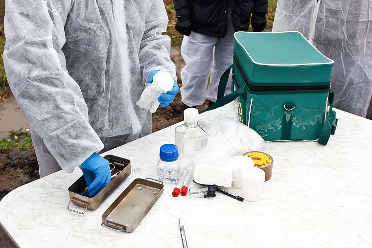 На случай ящура: в Тюменском районе провели карантинные учения