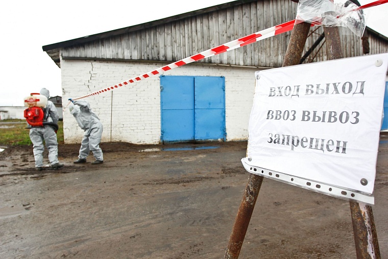 На случай ящура: в Тюменском районе провели карантинные учения