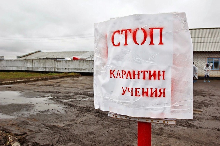 На случай ящура: в Тюменском районе провели карантинные учения