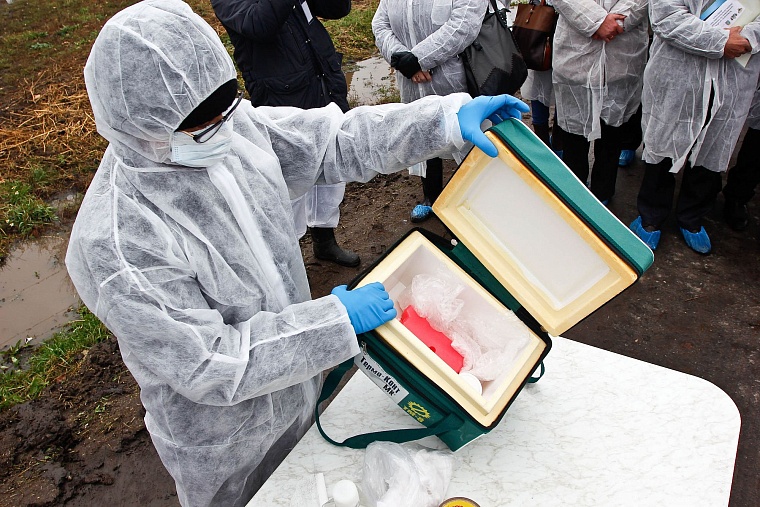 На случай ящура: в Тюменском районе провели карантинные учения