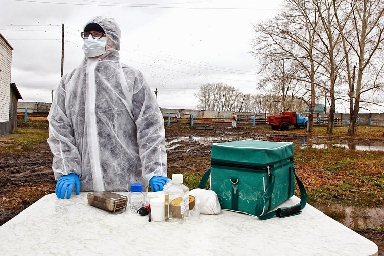 На случай ящура: в Тюменском районе провели карантинные учения