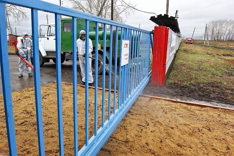 На случай ящура: в Тюменском районе провели карантинные учения