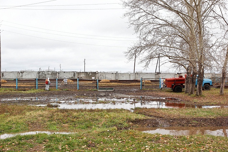 На случай ящура: в Тюменском районе провели карантинные учения