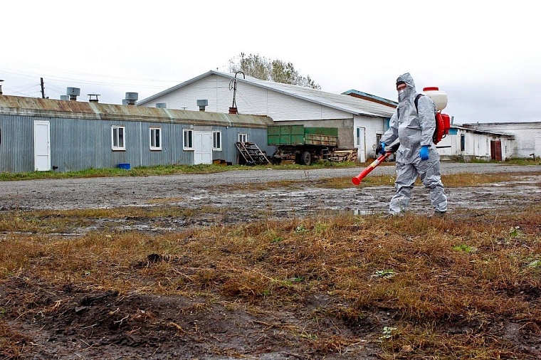 На случай ящура: в Тюменском районе провели карантинные учения