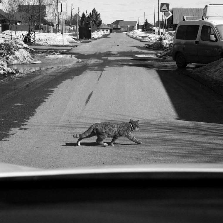 Блогер-таксист из Тюмени снимает город из окна автомобиля