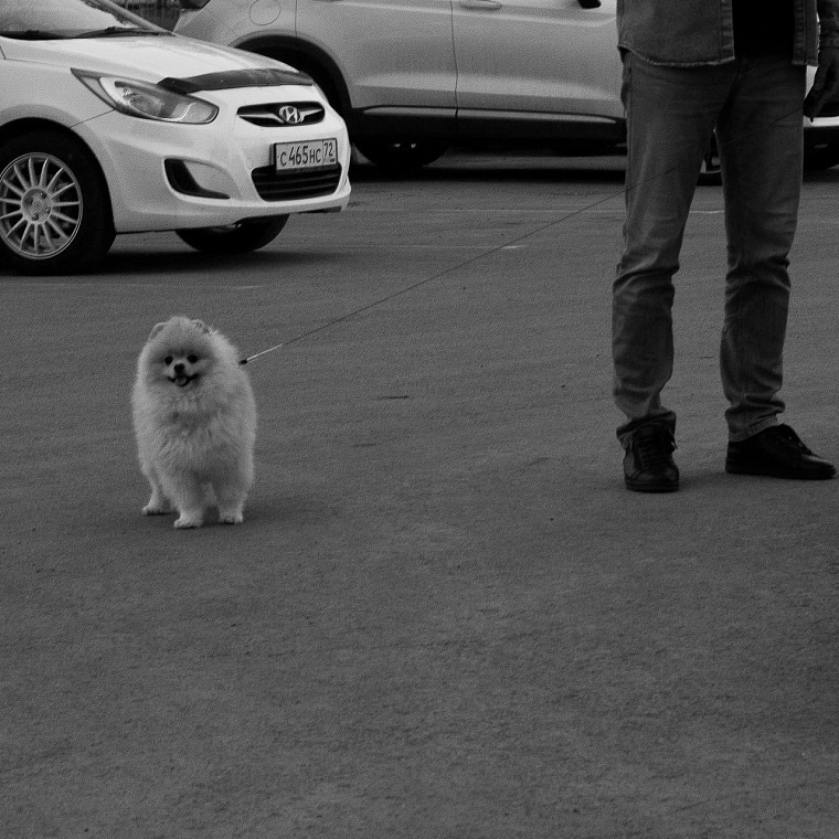Блогер-таксист из Тюмени снимает город из окна автомобиля