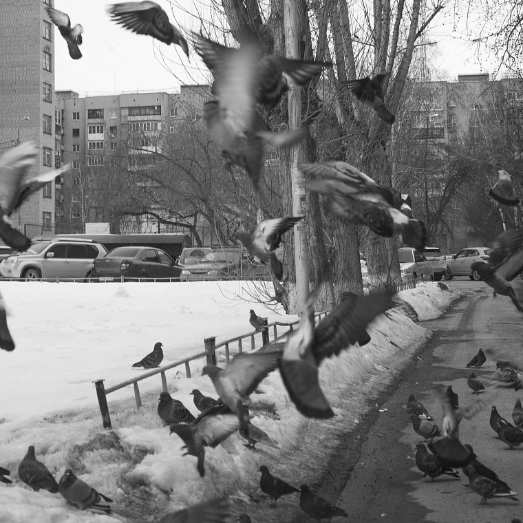 Блогер-таксист из Тюмени снимает город из окна автомобиля