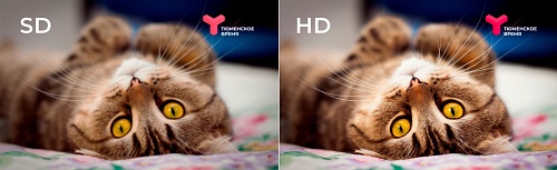 В новый год — с новым качеством