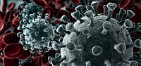 За сутки в Тюменской области выявлено 82 случая заражения коронавирусной инфекцией