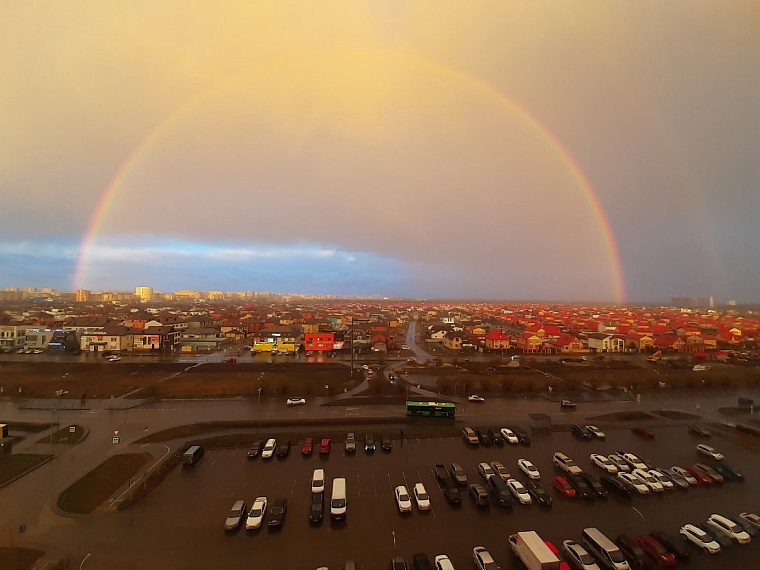 автор Вика Швед