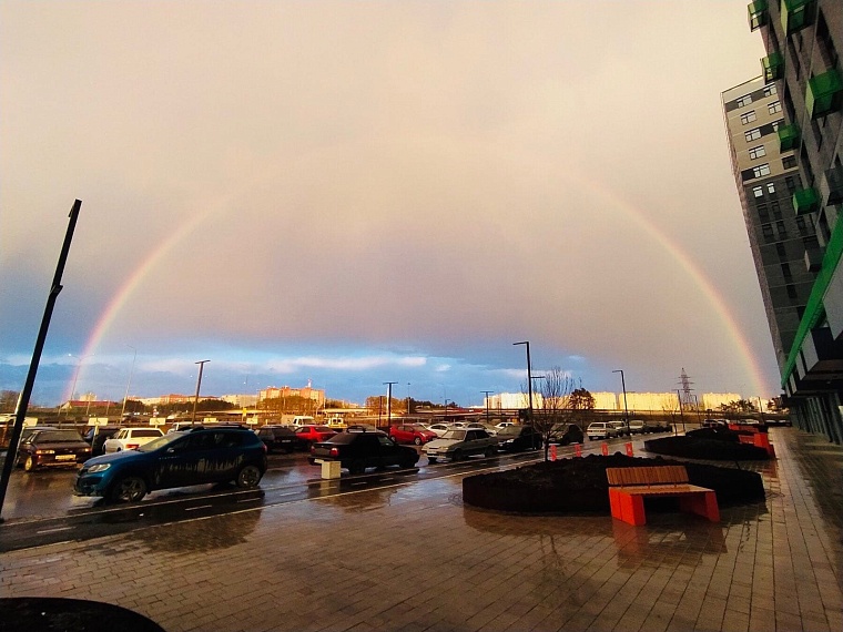 автор Елена Гончарова