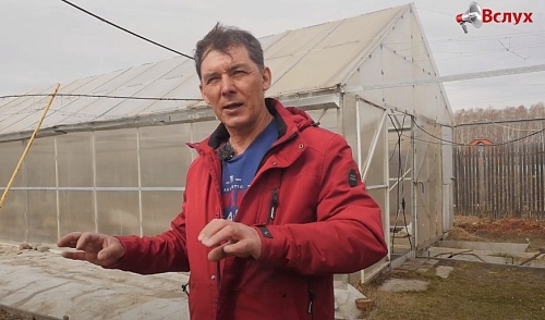 Тюменский эксперт рассказал, какие ошибки допускают садоводы весной при выращивании винограда