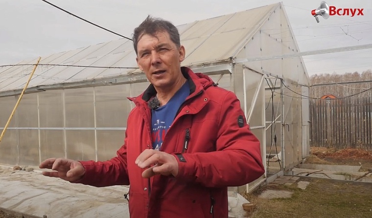 Тюменский эксперт рассказал, какие ошибки допускают садоводы весной при выращивании винограда