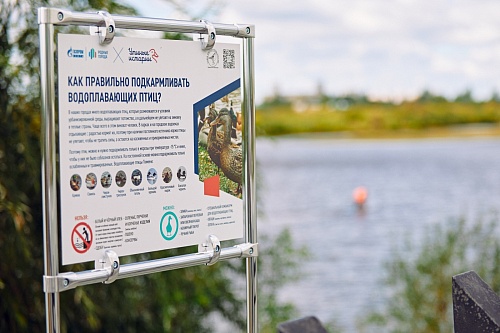 На озере Оброчное установили домики для уток