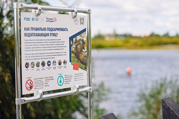 На озере Оброчное установили домики для уток