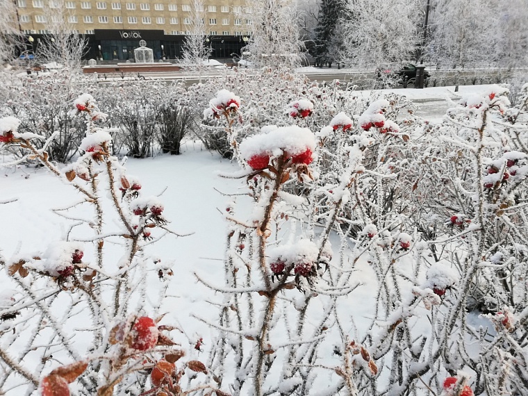 Фото: Вслух.ру