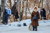 Жители Сорокинского района оденут деревья в зимние вещи