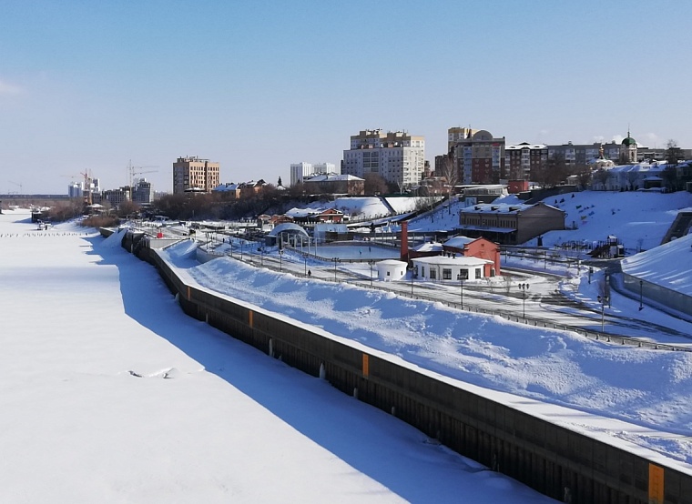 В Тюмени могут появиться памятник Учителю в Школьном сквере и синичка на набережной Туры