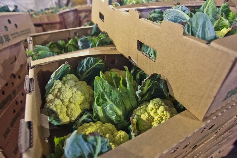 Легендарный новосибирский рынок: наркотики, преступность, разбой