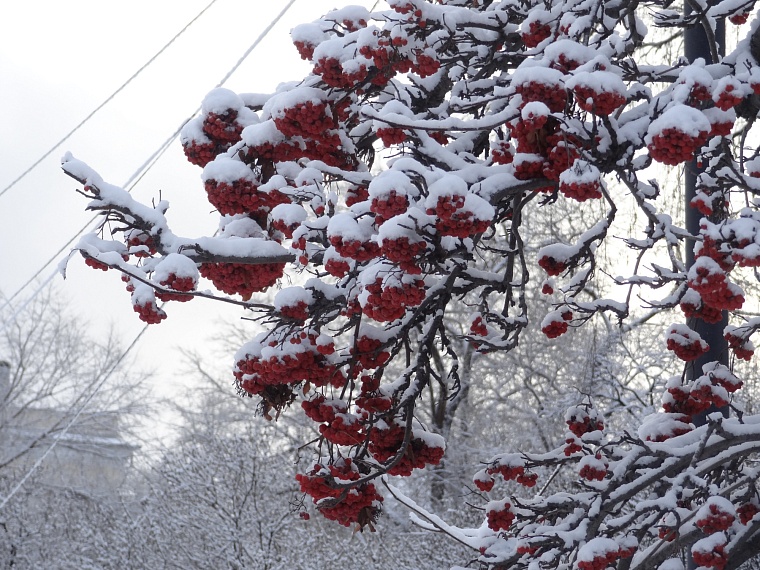 В Тюмени прогнозируют похолодание до -33 градусов и первые актировки у школьников