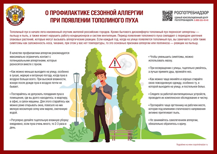 Как пережить тополиный пух, если есть аллергия