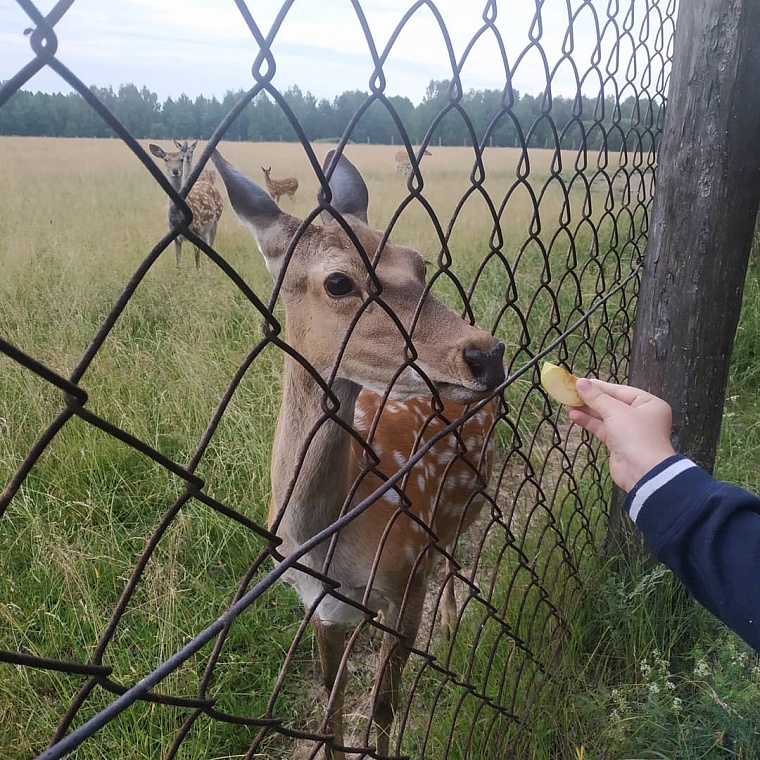 Идеи на выходные: сплав по Чусовой с литературным уклоном