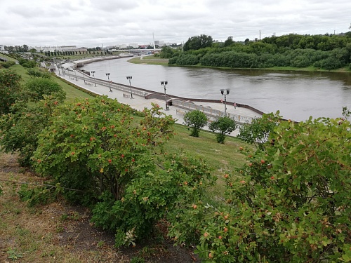 Такое лето: в Тюмени 29 июня прогнозируют максимум +8 градусов