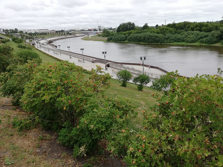 Такое лето: в Тюмени 29 июня прогнозируют максимум +8 градусов