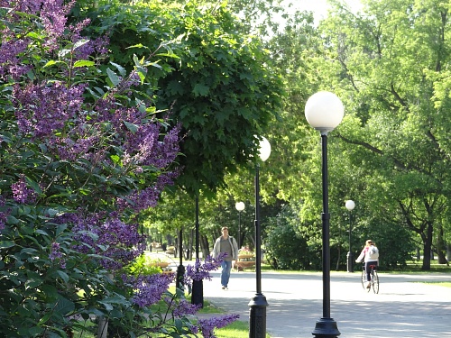 Аллергия может развиться после стресса или тяжёлой болезни: комментарий врача