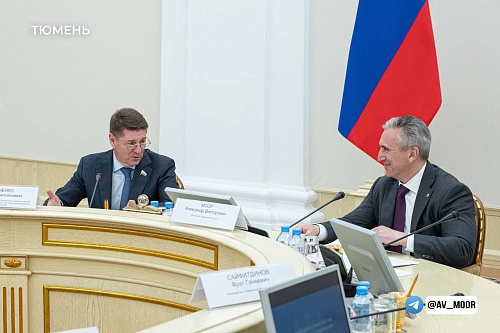 Сенаторы подняли вопросы господдержки социально-экономического развития Тюменской области