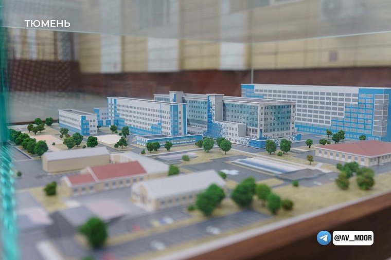 Сенаторы подняли вопросы господдержки социально-экономического развития Тюменской области