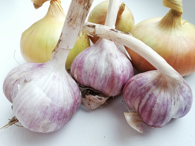 Врач прокомментировал популярные методы профилактики ОРВИ с луком и чесноком