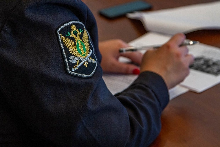 Жительница Увата задолжала сыну больше полумиллиона рублей