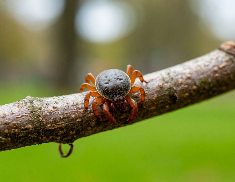 Картинка сгенерирована ИИ